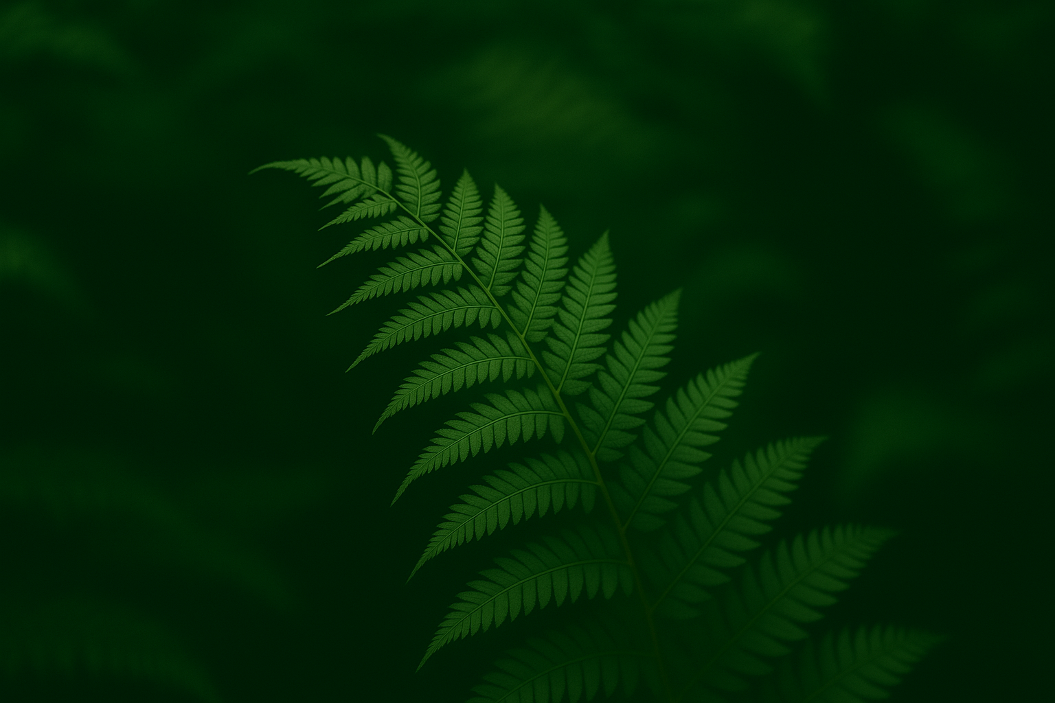 ChatGPT Image 26 oct. 2025, 23_47_26