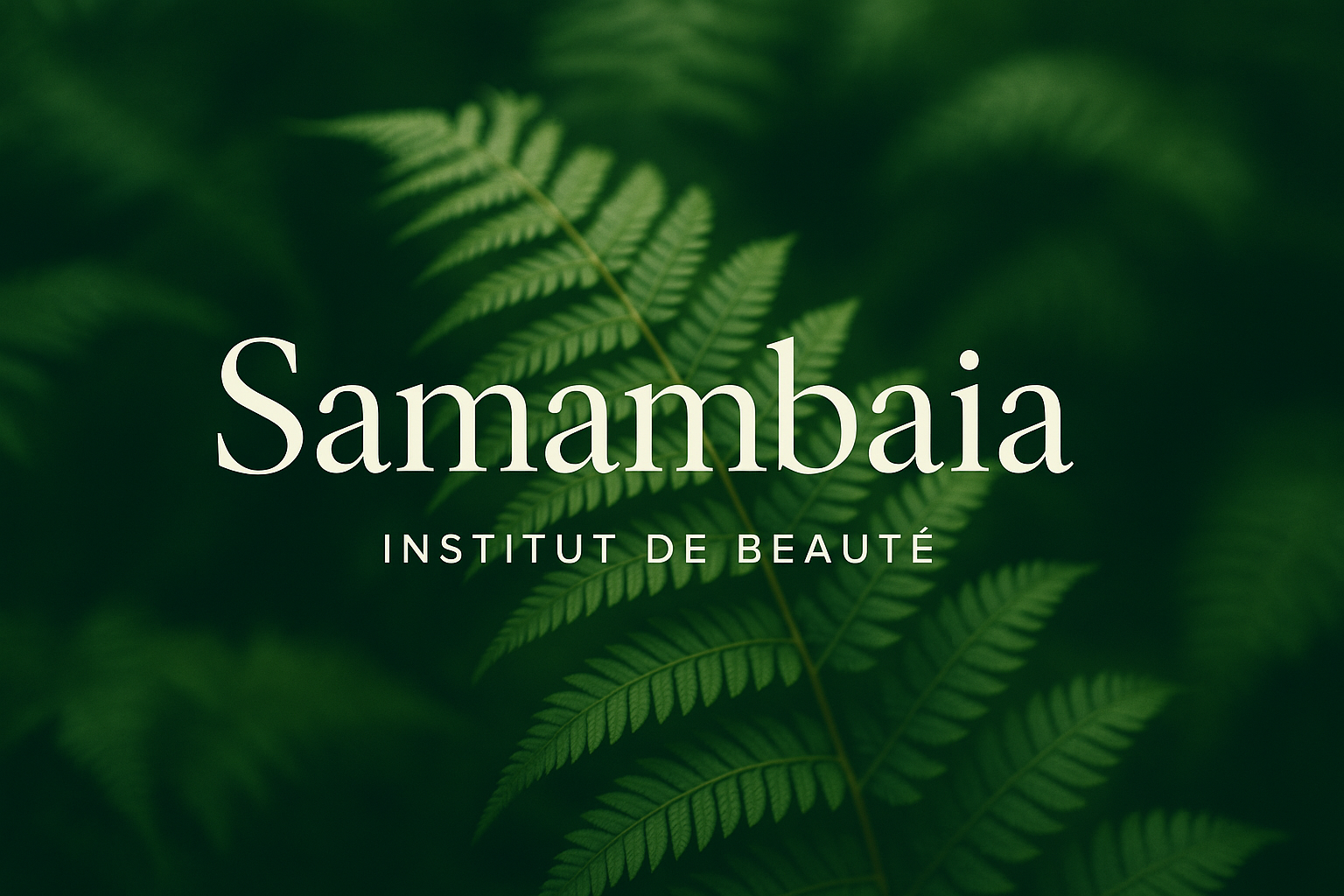 Fronds élégantes de Samambaia